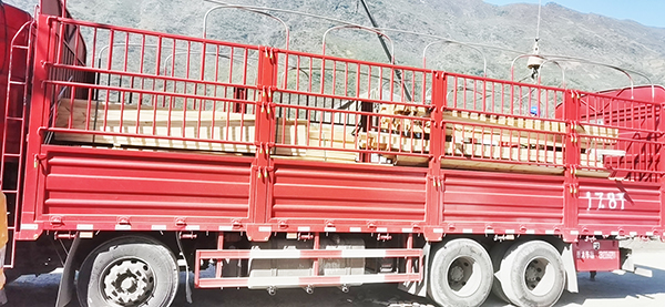 建筑木方到達(dá)永善縣卸車(chē)場(chǎng)景圖